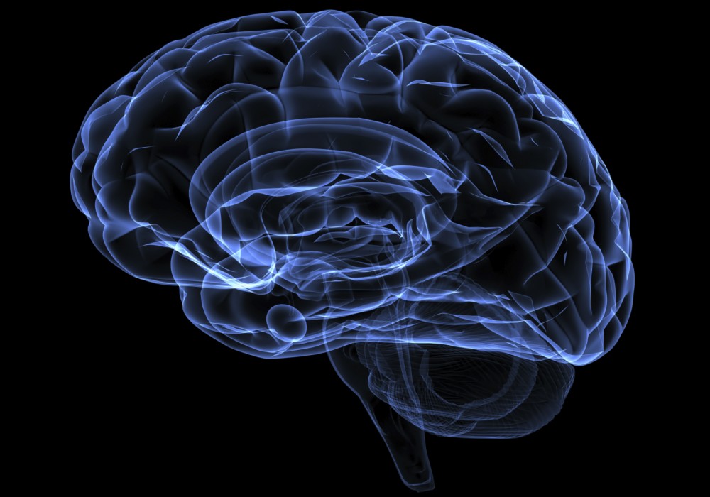 total brain death is a valid criterion of death - ethika politik